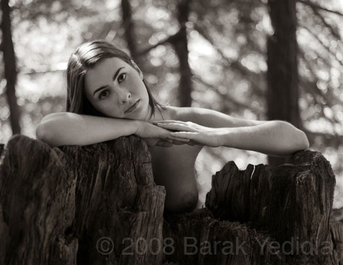 54-05Portraitcrop